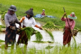 rangoon.jpg