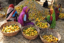 allahabad (inde).jpg