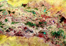 mauritanie-senegal.jpg