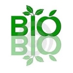 bio.jpg