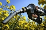 agrocarburants.jpg