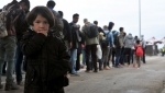 europe.jpg