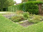 potager.jpg