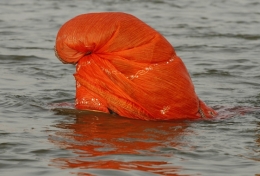 Allahabad.jpg