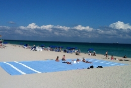 miami.jpg