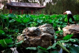 CHINE.jpg