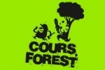 forest.jpg