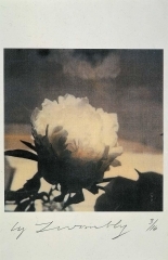 twombly.jpg