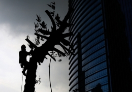 djakarta.jpg