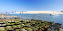 arcachon.jpg