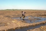 tchad.jpg