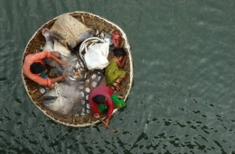 kochi-inde.jpg