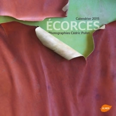 écorces.jpg