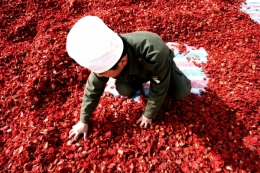 chine.jpg