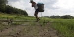 amazonie.jpg
