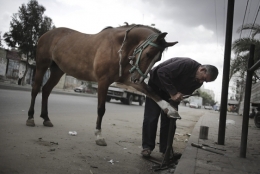 gaza.jpg