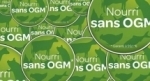 ogm.jpg