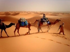 reveillon-nomade-amateurs-dinsolite-L-2.jpg