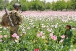 afghan.jpg