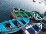 peche.jpg