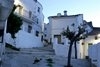 paterna.jpg