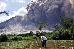 sumatra.jpg