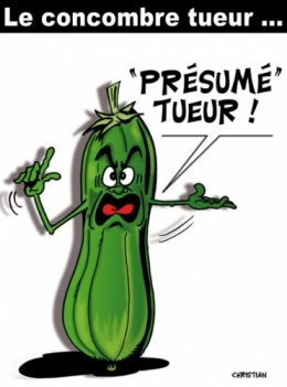 feutre vengeur.jpg