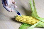 monsanto.jpg