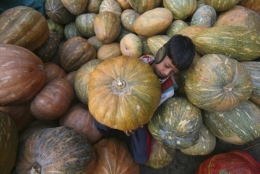 Chandigarh.jpg