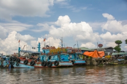 mekong.jpg