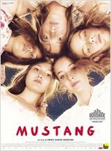 mustang.jpg