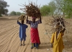 niger.jpg