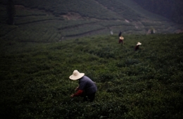 chine.jpg