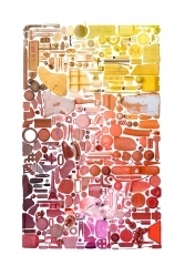collage.jpg