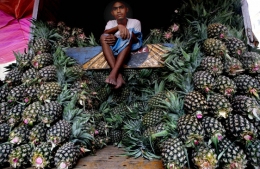 inde.jpg