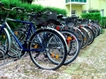 velo.jpg