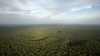 amazonie.jpg