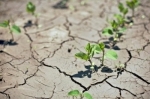 climat.jpg