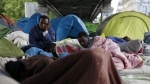 migrants.JPG