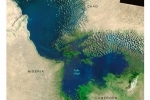 afrique.jpg