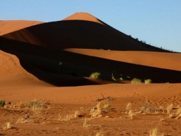 namib.jpg