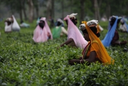 jorhat.jpg