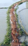 sunderbans.jpg