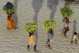 allahabad.jpg