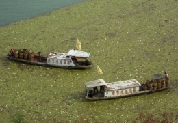 yangtze_314.jpg