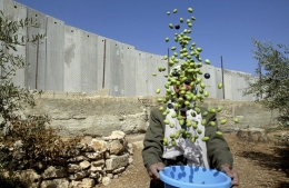 israel.jpg
