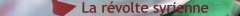 syrie.jpg