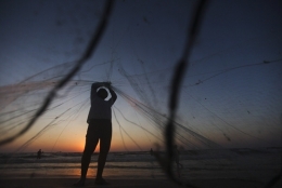 gaza.jpg