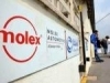 molex.jpg