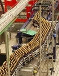 ITALIE-PRODUCTION-20091228.jpg